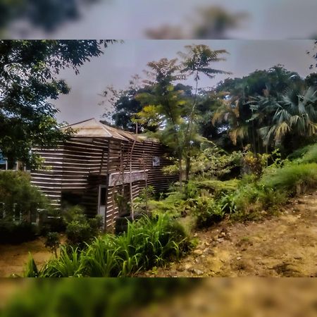לינה וארוחת בוקר קנדי Jungle Tree House Rangala מראה חיצוני תמונה